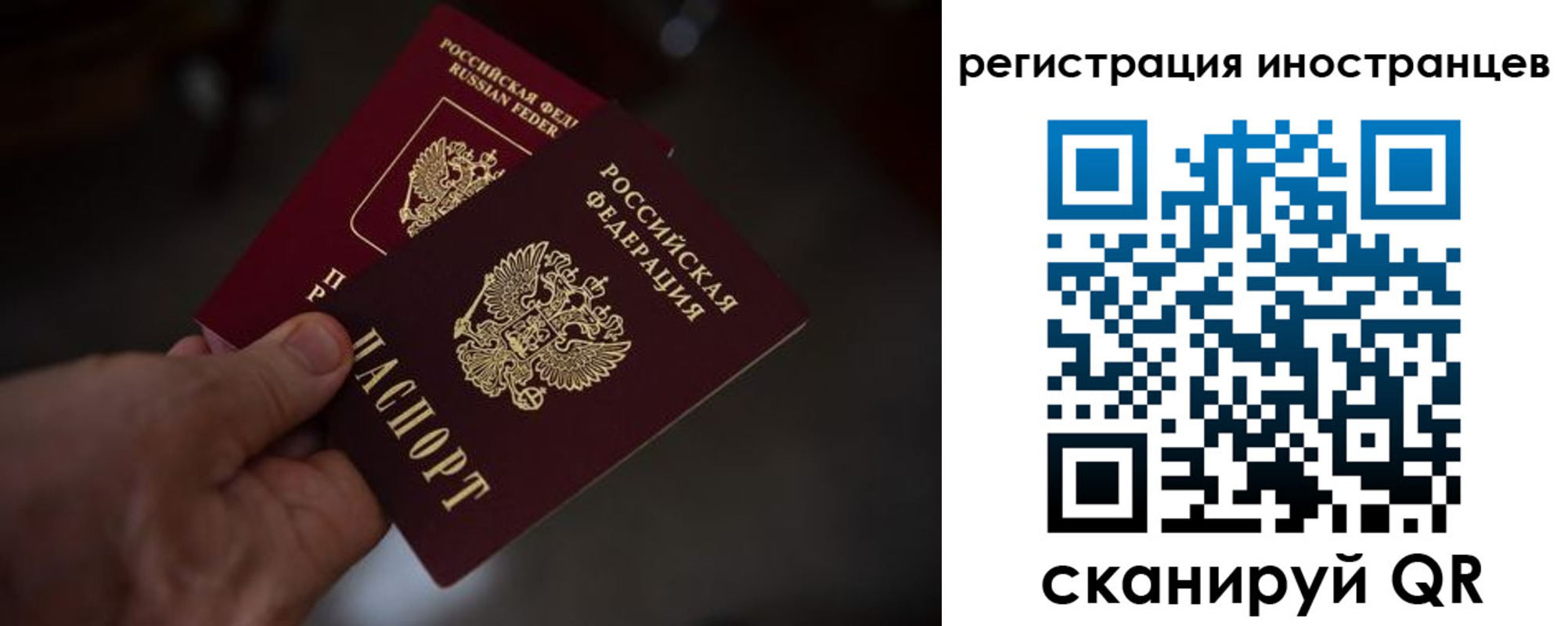 временная регистрация 2025 в Мурманске