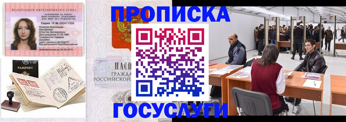 прописка гарантия в Мурманске